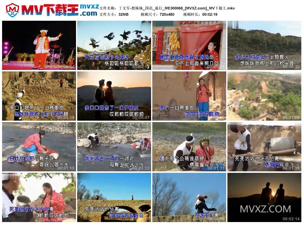 丁文军-想妹妹_国语_流行_ME300068